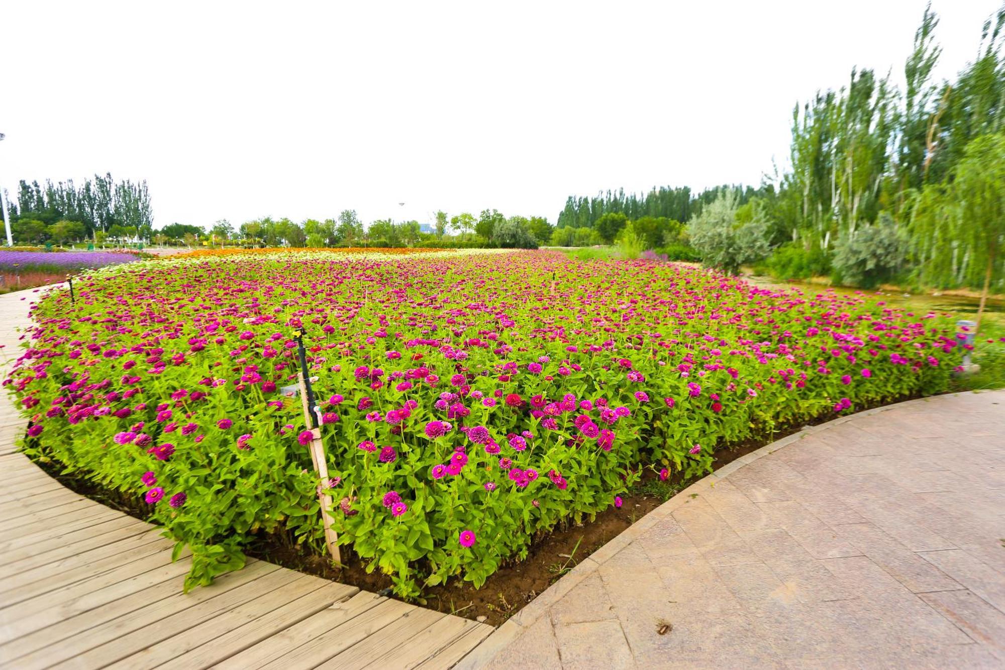 Primus Hotel Yinchuan Exterior foto