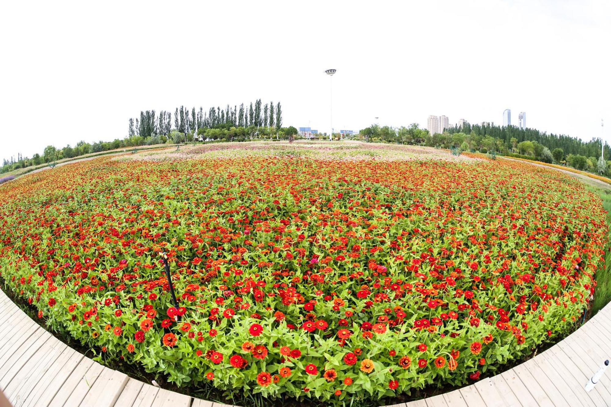 Primus Hotel Yinchuan Exterior foto
