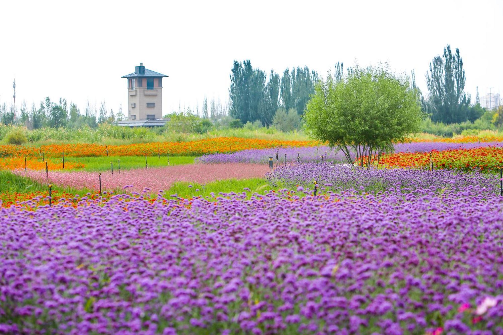 Primus Hotel Yinchuan Exterior foto